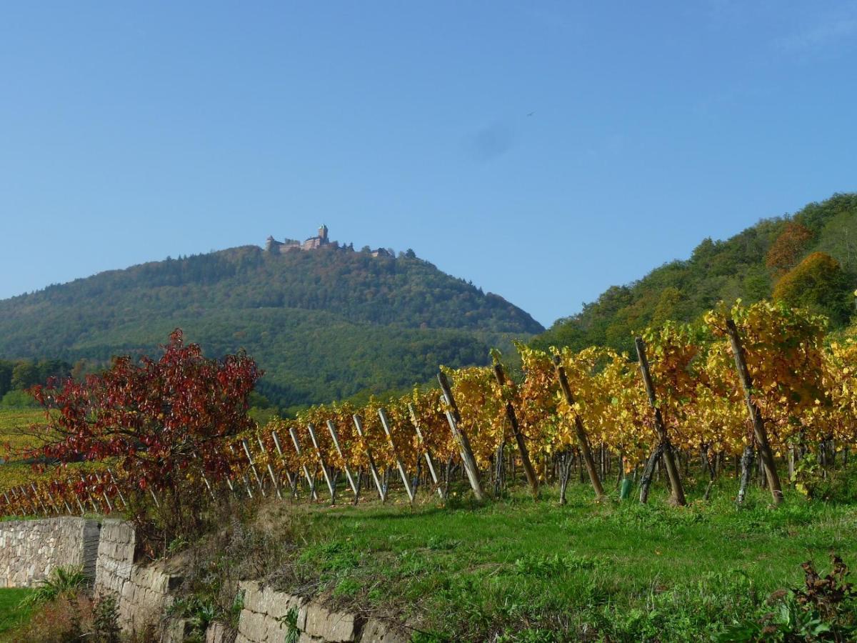Gîte d’Alsace l’Escale Ostheim Exterior foto